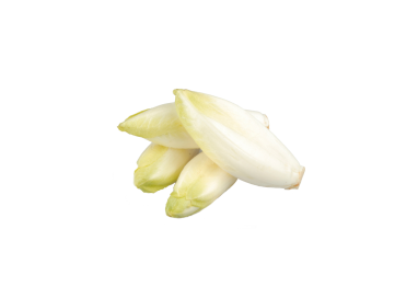 ENDIVE BIO