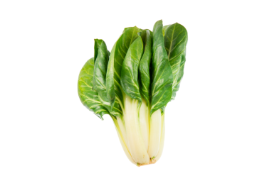 BLETTE PIED - BIO - FRANCE