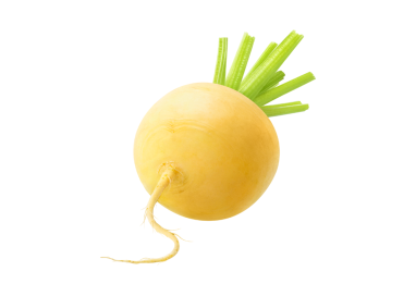 NAVET JAUNE BIO CAT II