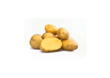 Pomme de terre grosse - Bio - France