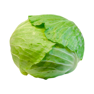 CHOU VERT LISSE CAT II
