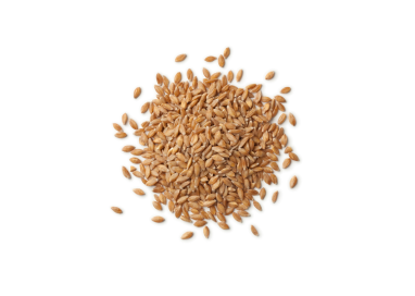 Petit épeautre décortique - Bio - France