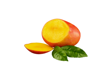 MANGUE KENT - BIO - SENEGAL