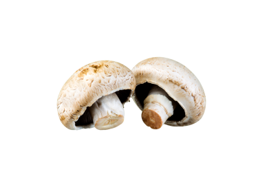 CHAMPIGNON PORTO BELLO BIO