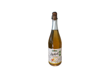 APIBUL POMMES POIRES (75CL) COTEAUX NANTAIS