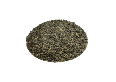 Lentille verte - Bio - France