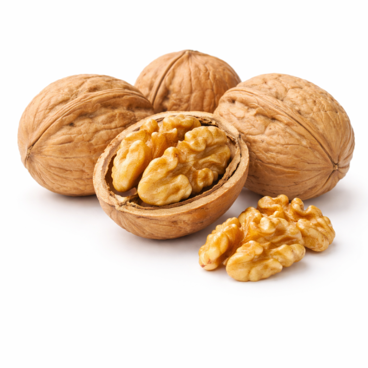 Noix "AOC de grenoble " BIO - France