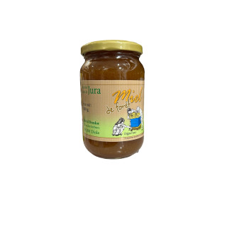 MIEL DE FORÊT  - DAVID DORDOR - 500G