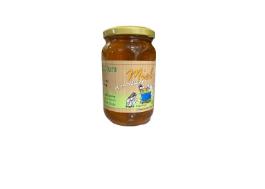 MIEL DE MONTAGNE  - DAVID DORDOR - 500G
