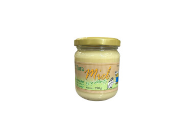 MIEL DE PRINTEMPS - DAVID DORDOR - 250G