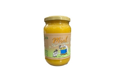 MIEL CREMEUX - DAVID DORDOR - 500G
