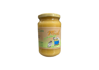 MIEL DE PRINTEMPS - DAVID DORDOR - 500G